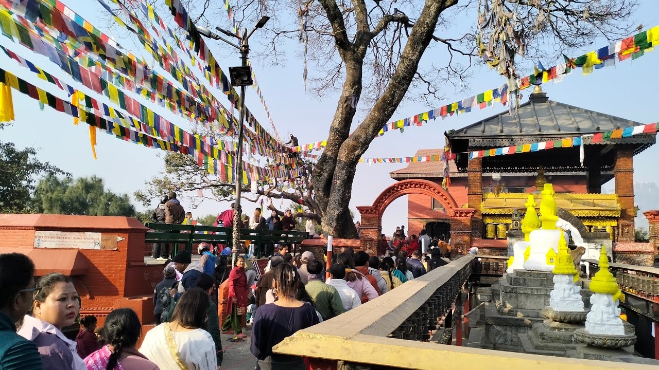 सरस्वती पुजा ॥सुयम्बु, काठमाडौं २०८२॥Saraswoti Puja॥ Swayambhu , Kathmandu 2082