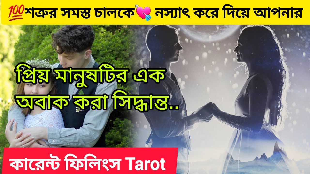 💯শত্রুর সমস্ত চালকে🥰 নস্যাৎ করে প্রিয় মানুষটির 💏অবাক করা সিদ্ধান্ত। Bengali Love Reading #tarot