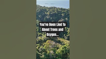 You’ve Been Lied To About Trees and Oxygen