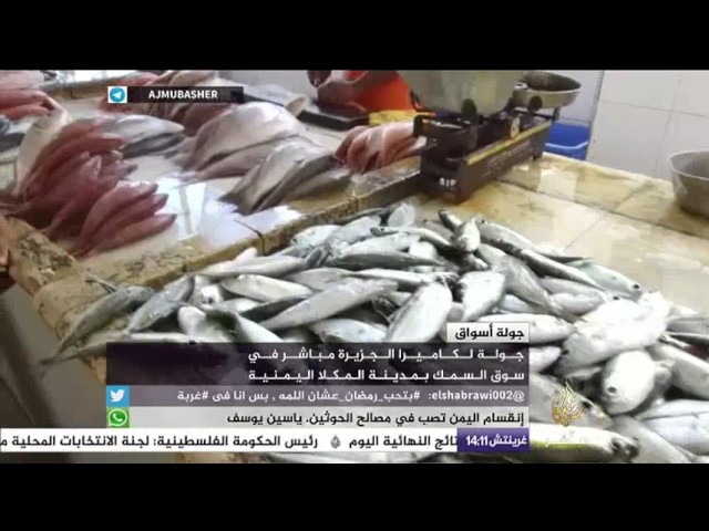 جولة لكاميرا الجزيرة مباشر في سوق السمك بمدينة المكلا اليمنية