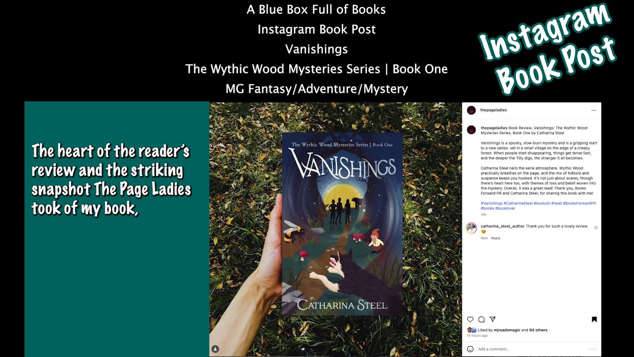 The Page Ladies Instagram MG Book Review of my Book Vanishings