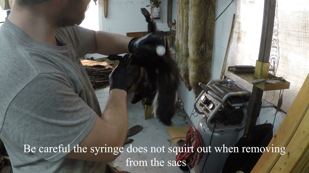 Fur Shed - How To  Remove Skunk Essence