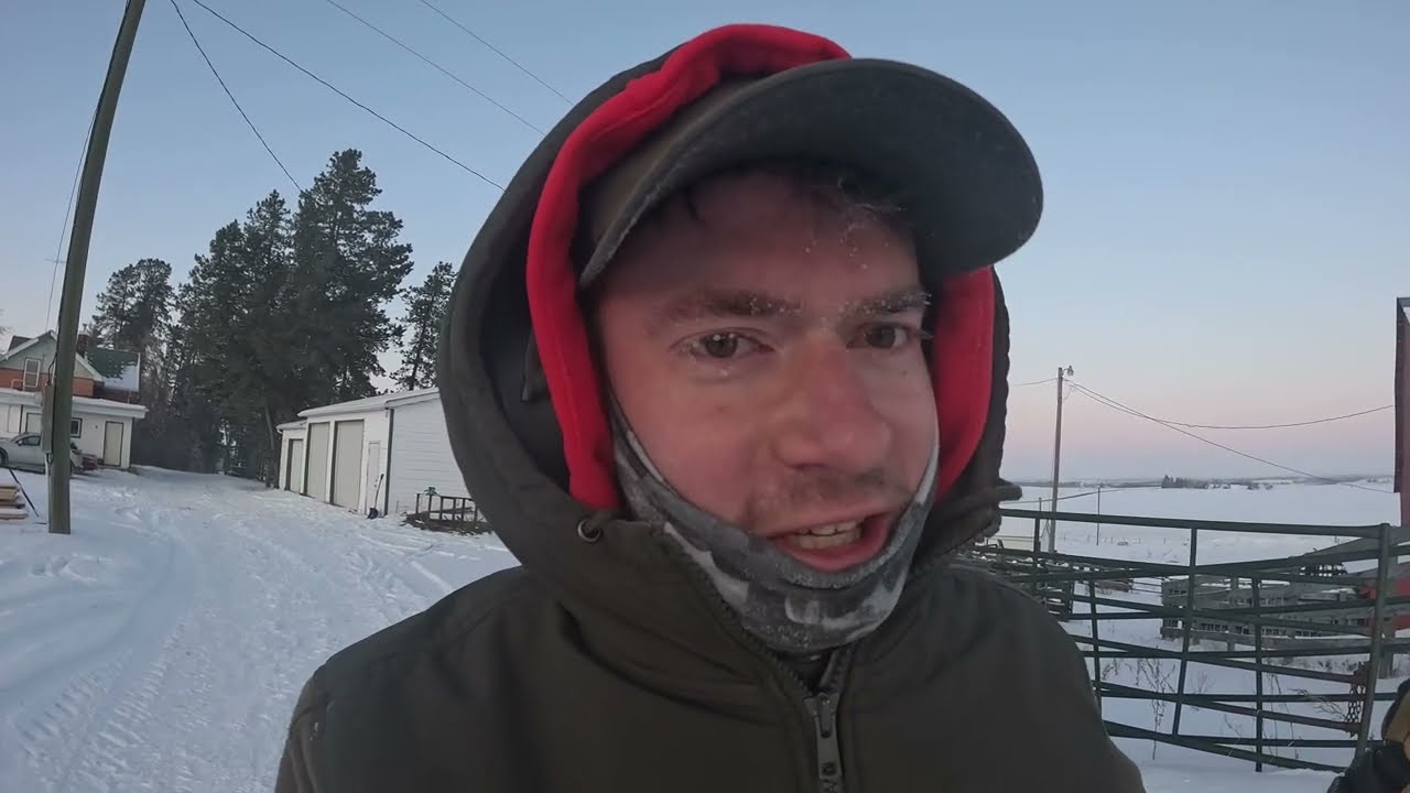 Trying to Keep My Lambs Warm