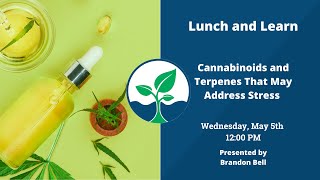 Cannabinoids and Terpenes That May Address Stress - Part 2