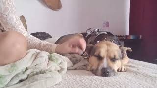 Preview Of Videos For Members Only