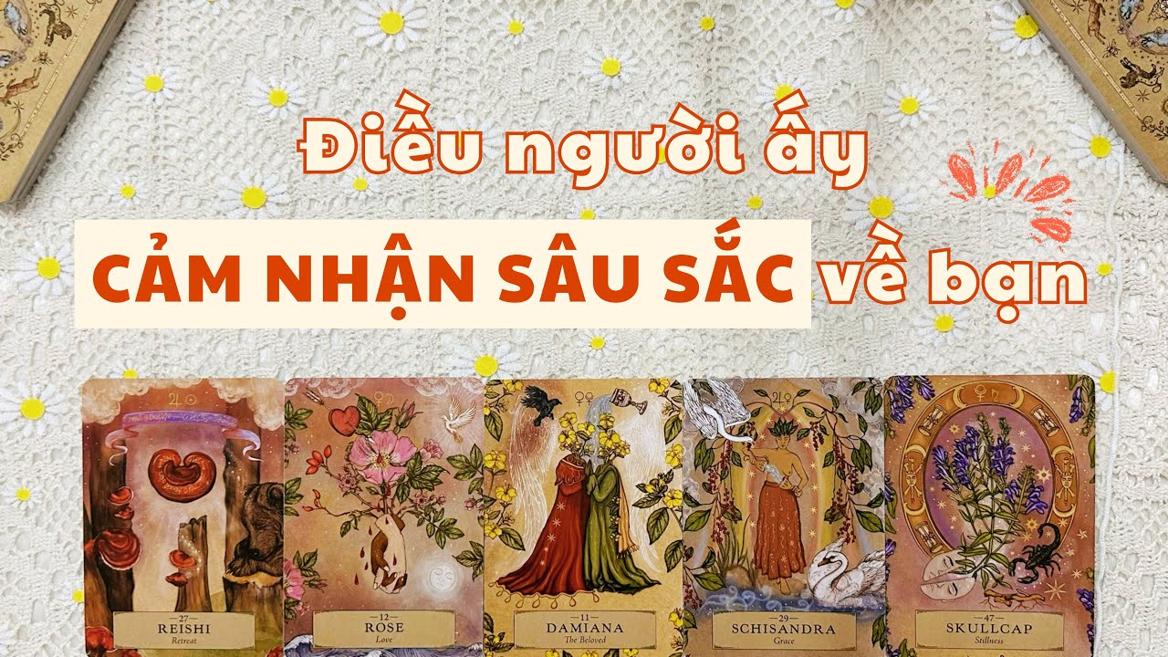 🌙 Góc Nhìn: Tarot | Khi ai đó nghĩ về bạn, họ cảm nhận ra sao? 
