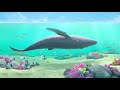 The Snail & The Whale In The Deep Blue Sea! | Gruffalo World: Compilation