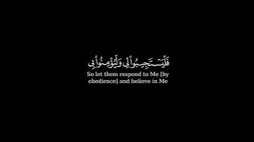 كرومة شاشة سوداء بصوت الشيخ #ماهر_المعيقلي#سورة_البقرة