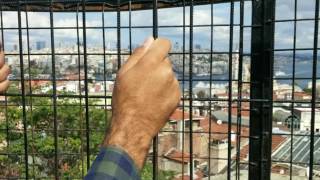 Efkan Şeşen - Vakitsiz Bir Sonbahara Yakalandık