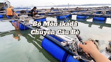 Bộ Môn ikada Chuyên Câu Bè - Chuyên Tráp (Hanh) | Câu Cá Biển Vũng Tàu ✅