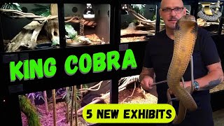 5 NEW FIERCE Snake Exhibits at The Serpent Center