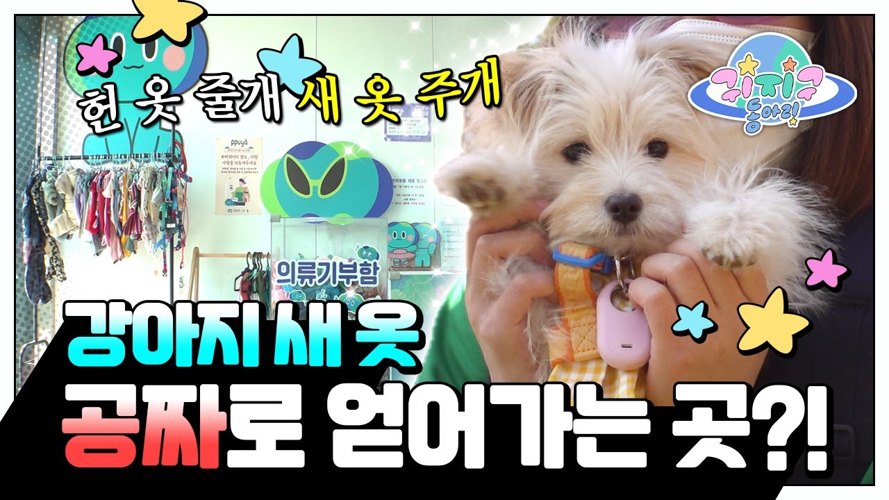 헌 옷을 가져가면 새 옷을 준다?! 강아지 동반 업사이클링 체험♻️ㅣUpcycling with the dogs. Bring old  cloth and get a new cloth!