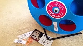 Wodent Wheel Unboxing!!