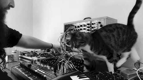 Ruscādå | Presaa | Modular Synth Eurorack Ambient