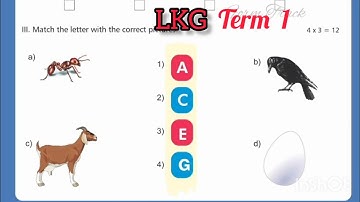 lkg question paper english question paper lkg model question paper lkg exam lkg english question