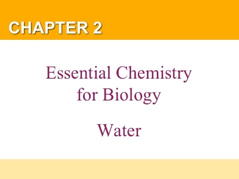 Chapter 2 Part 3 Water - YouTube