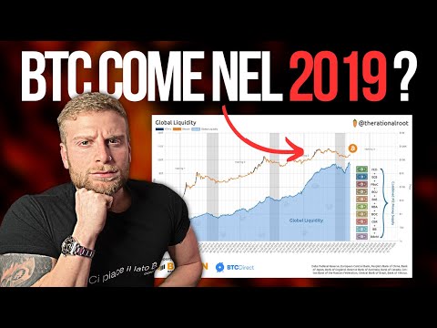 Video: Bitcoin tornerà su nel 2019?
