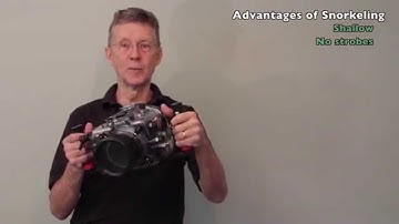 Snorkeling Part 1: Introduction, Underwater Photography Tutorial by David Heidemann