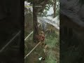 #mhrise #tobikadachi #gameplay #longsword