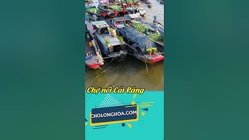 Chợ nổi Cái Răng Cần Thơ | Trải nghiệm độc đáo tại miền Tây sông nước