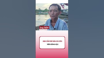 Xem cần thủ săn cá cóc trên sông Hậu