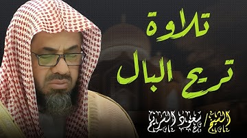 تلاوة هادئة تتطمئن لها القلوب ❤️ | لسورة الإسراء تراويح ليلة 14 رمضان 1436| الشيخ سعود الشريم 🕋🕊️
