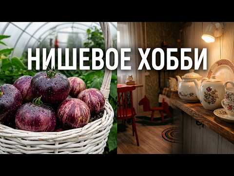 НИШЕВОЕ ХОББИ