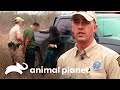 Capturan a inmigrantes que atravesaban un rancho  guardianes de texas  animal planet