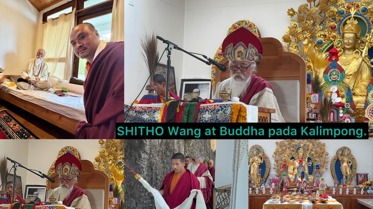 SHITHO WANG AT BUDDHA PADA.Date23/11/2024@dorjeetamangvlog7356