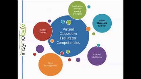 Virtual Classroom Facilitator Competencies: The Big Picture