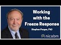 Working with the Freeze Response in the Treatment of Trauma with Stephen Porges, PhD