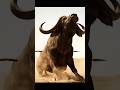 Life 1.8 Million Years Ago | Hunters of the Dying Herds