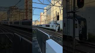 JR東日本 成田エクスプレス NEX 特急車両が亀戸駅を通過シーン