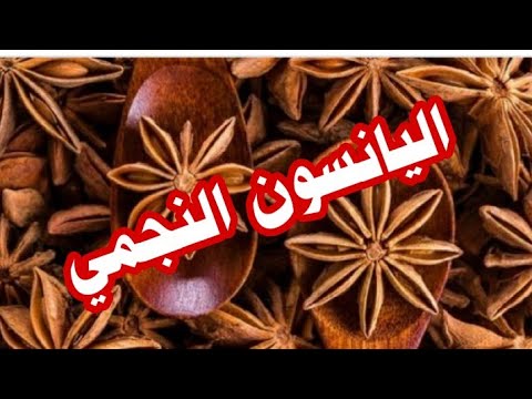 النجمي فوائد اليانسون طريقة استخدام