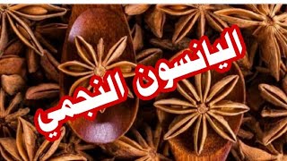 اليانسون النجمي ماهو؟وما هي فوائده وكيفيه إستخدامه