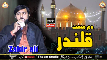 Zakir Ali Sheikh | Dam Mast Qalandar | Qasida 2024 | Theem Studio 0300 4740691