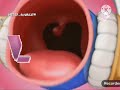 فاصل قناة نايل كوميدي من عام 2023 ومن تقليد الجزيرة للاطفال 2011 