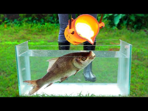 प्रयोग: लावा वि पाण्याखाली मासे!
