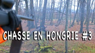 Chasse en Hongrie #3 - Battue aux grands gibiers (4K)