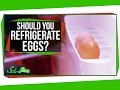 Should You Store Eggs in the Fridge? Should You Store Eggs in the Fridge?
