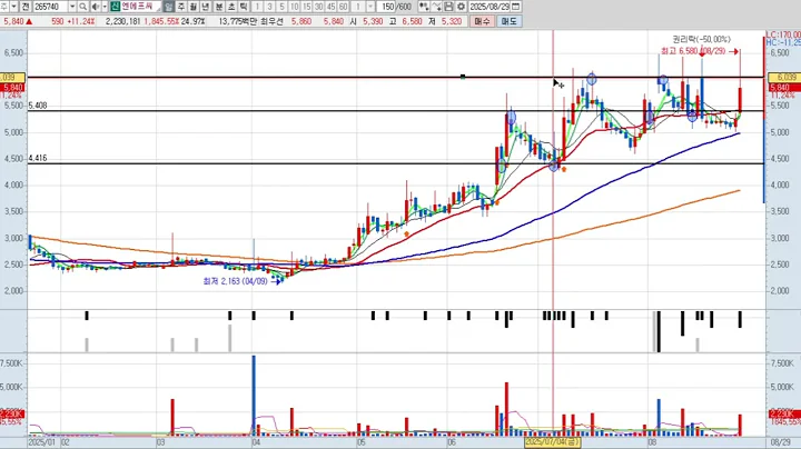 엔에프씨 5차 265740 패턴분석 및 투자전략