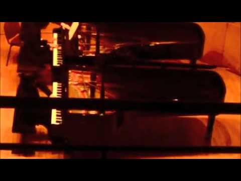 Chopin Concerto No.1 played by Wang Congyu (Salle ...