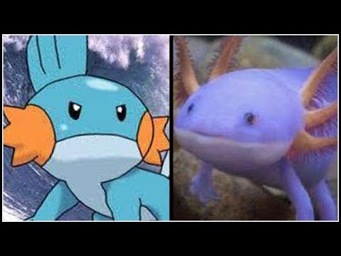 Full Pokemon In Real Life Team Youtube Full Pokemon In Real Life Team Youtube