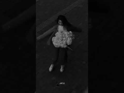 سنين وانا عايشه في مشاكلي اليسا حالات واتس اب ستوريات