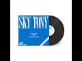 Thumbnail for Sky Tony - Lovin' You (Original Mix)