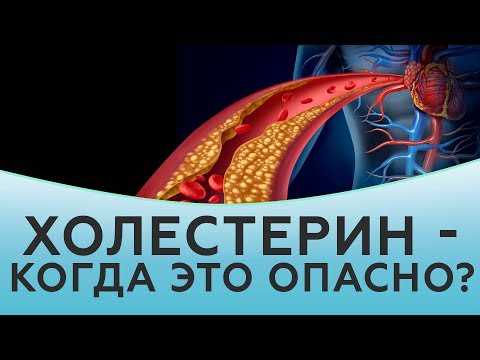 Холестерин - что это такое. Чем опасен холестерин