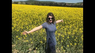 Çi̇çekçi̇li̇k Atölyesi̇ Çi̇çekçi̇li̇k Eği̇ti̇mi̇ Aldim.