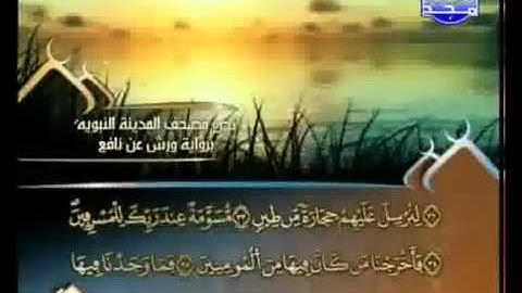 العيون الكوشي   سورة الذاريات