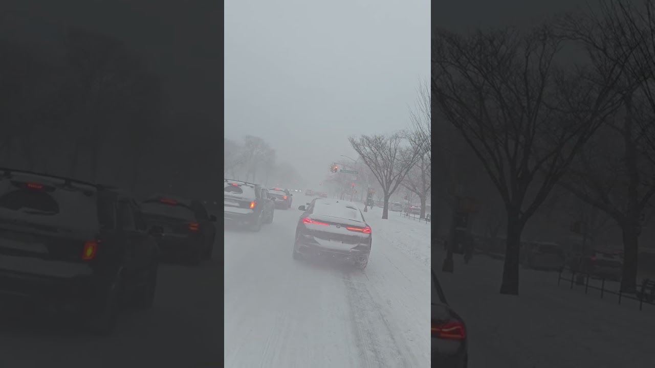 Snow Blankets Ocean Parkway in Brooklyn Sunday January 25 2026
