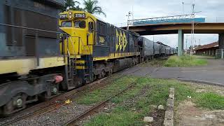 Hd Trem Carregado Da Mrs Logística S.a. Pando Zsk Pátio De São Carlos Sp 5 C-30-7 Vagões Hpt
